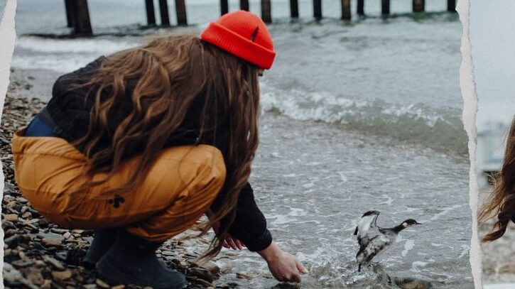    «Надеемся, они не вернутся»: волонтёр рассказала, как готовит птиц в Анапе к возвращению на волю