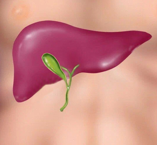 Изображение адаптировано из свободного доступа