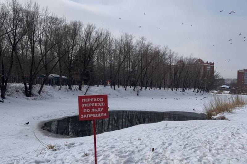    Фото: официальный сайт администрации Кургана