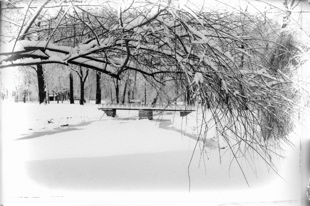 Когда тебе опять и пусто и печально,
в глазах покоя нет, а в мыслях высоты,
ты вспомни, что в тебе нет боли изначально,
а только трение мечты и суеты.
И если слезы есть - старайся в одиночку
их выплакать сперва, и к людям не спеши.
И мужество не в том, чтобы поставить точку,
а чтобы претерпеть рождение души.

И если так с тобой случится не однажды,
то с каждым разом легче будет этот миг.
Жестоки чувства одиночества и жажды,
но страшно - если ты к ним вовсе не привык.
Досадно - если ты, надеясь на подспорье,
в ответ не получил желанной сослезы.
Но в сотню раз страшней, когда испив от горя,
в чужую исповедь ты смотришь на часы.

И если нет того, о чем мечтал вначале,
и высота пути на уровне травы,
люби все то, что есть - и страхи и печали,
и труд обычный свой, и вздохи, и увы.
И меры счастью нет, и смысла в обладаньи -
все сквозь тебя, как Космос протечет.
И оправданье жизни - только в состраданьи
в желаньи размышлять - другое все не в счет.

А. Дольский