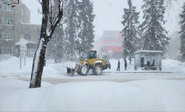    Фото: Редакция АиФ Сахалин/ АиФ