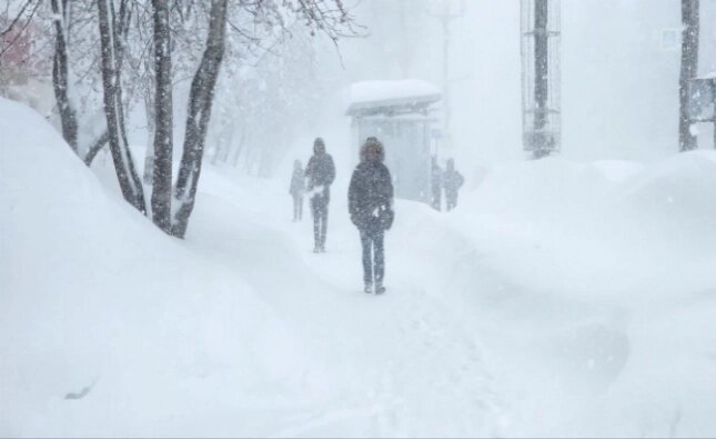    Фото: Редакция АиФ Сахалин/ АиФ