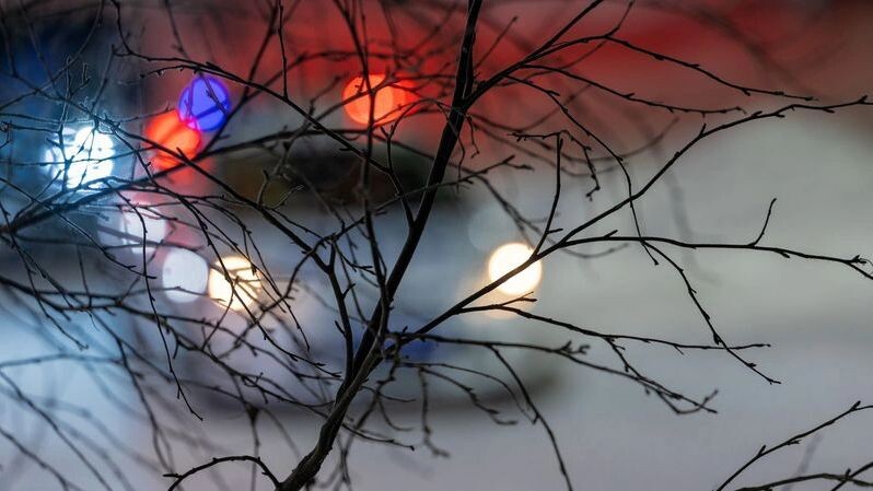    Фото: Федор Воронов/«Ямал-Медиа»