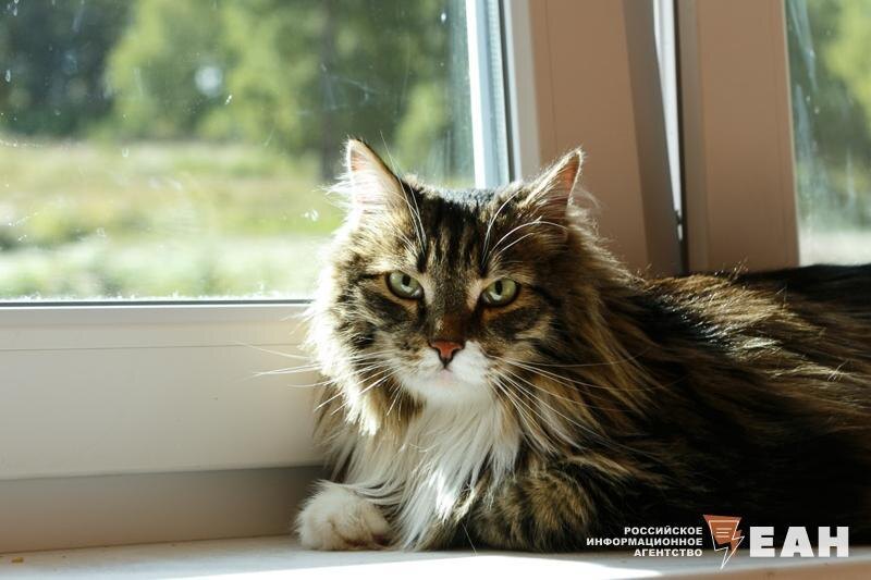    ЕАН. Архивное фото