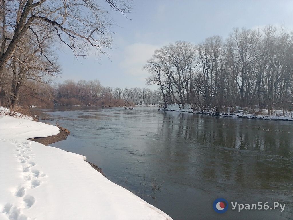    Самара в Новосергиевке за сутки прибавила 9 см. Другие реки региона пока спокойны