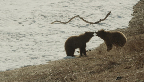    © Архив ИД «Компаньон»