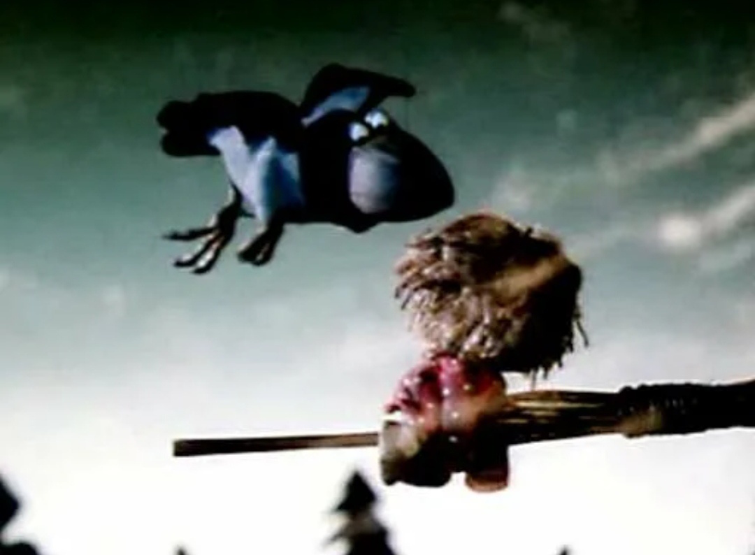 Куда хочу - туда лечу! 