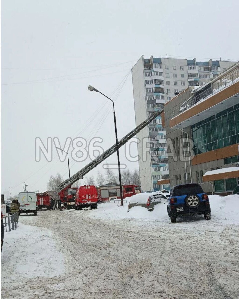     Источник: Типичный краб86.Нижневартовск