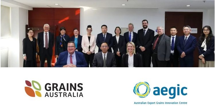    Китайское зерно смешают с австралийским