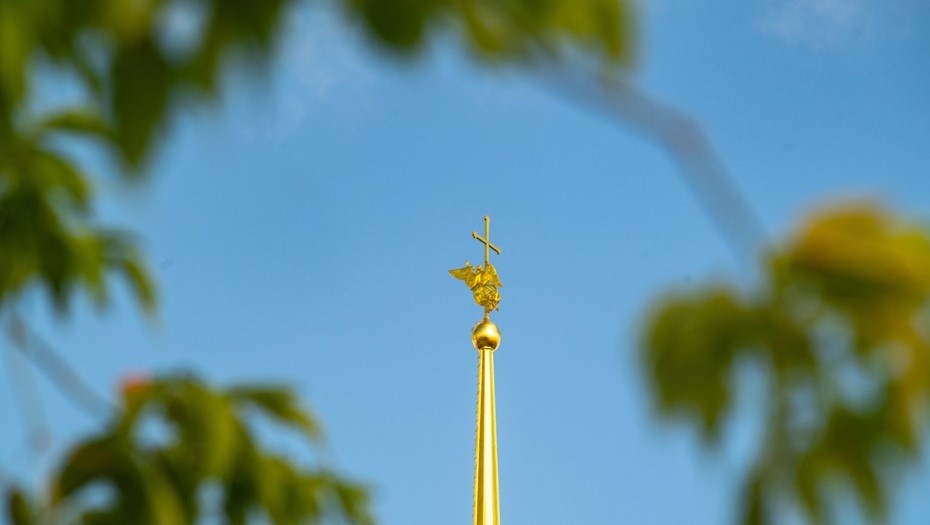    Автор фото: Михаил Тихонов / "ДП"