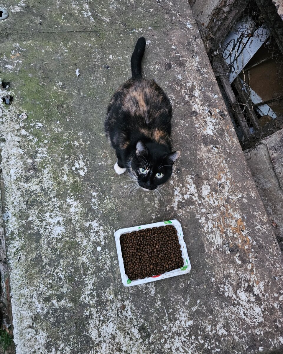 Вот так жила