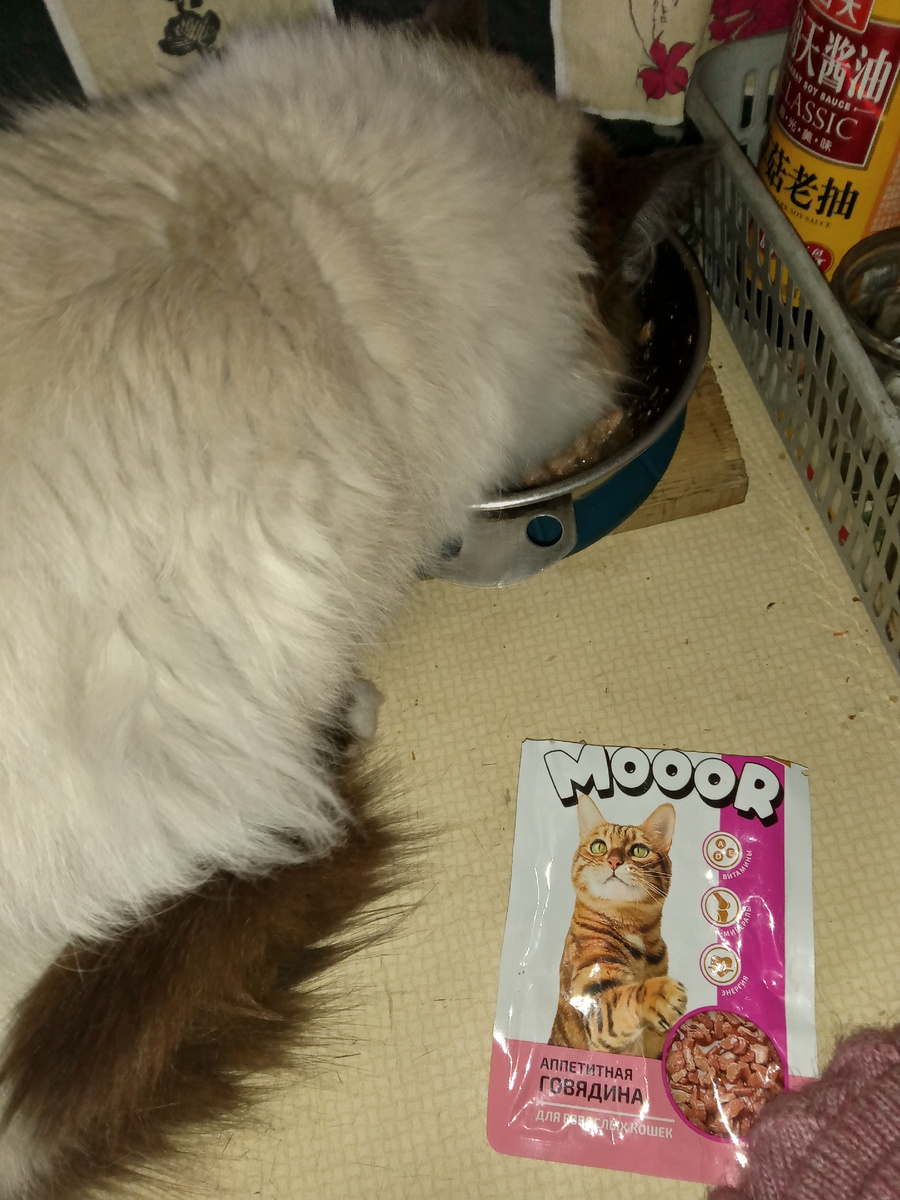 Пишу статью, одновременно кормлю ББ. Такой корм беру в "Марии Ра". От запоров хорош. Это подкормка не ежедневная, не основная его двухразовая еда.