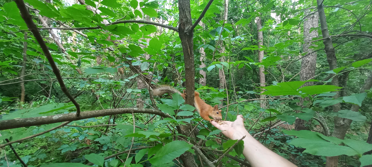 Фото из моего архива