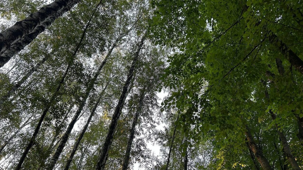 Фото: телеканал «Краснодар»