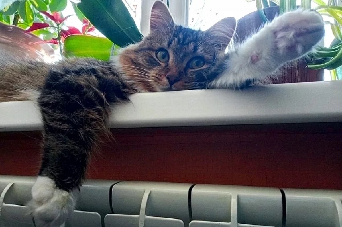    В СГК объяснили, из чего сложились счета за отопление в минувшем феврале