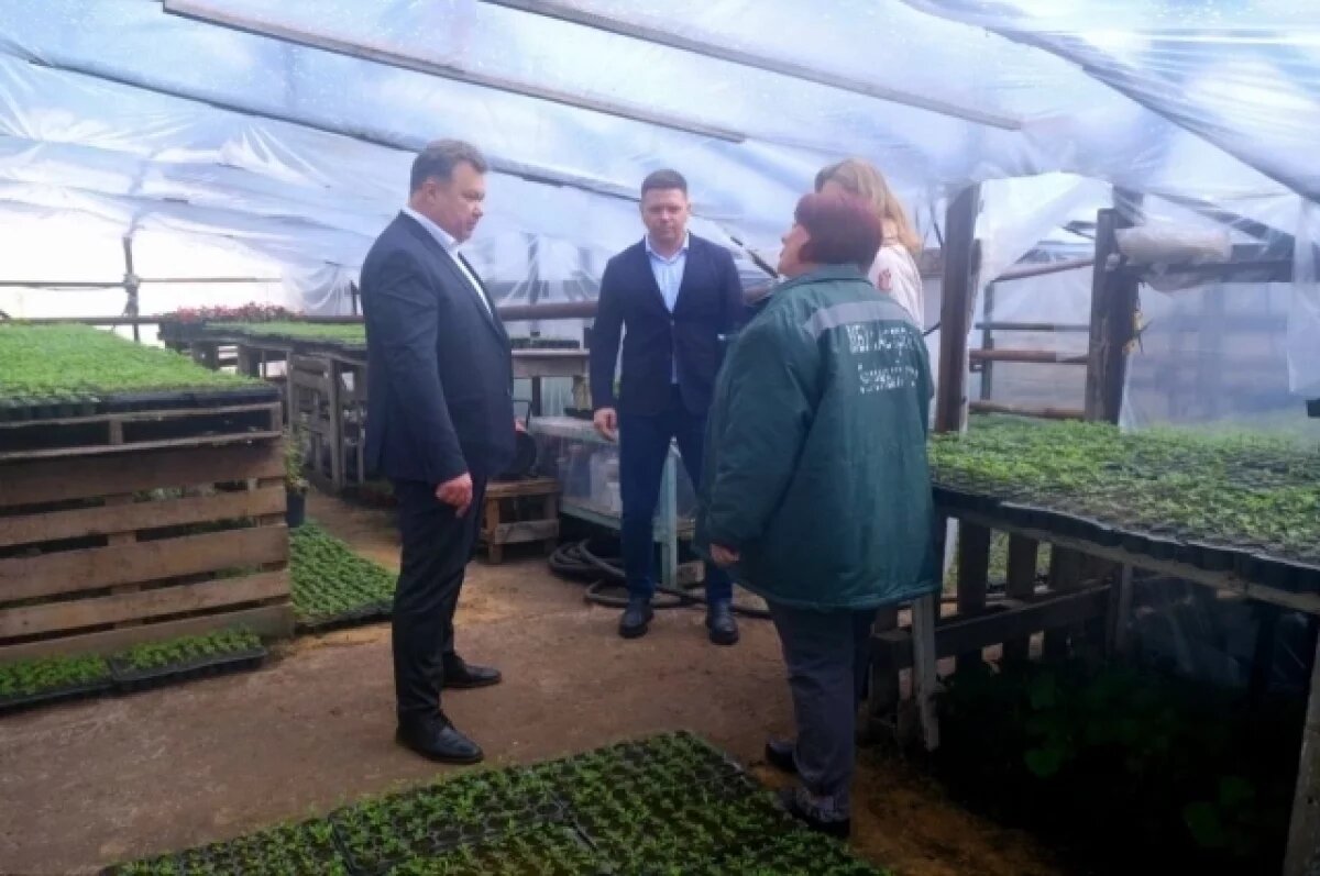    Астраханские клумбы скоро заиграют красками весны