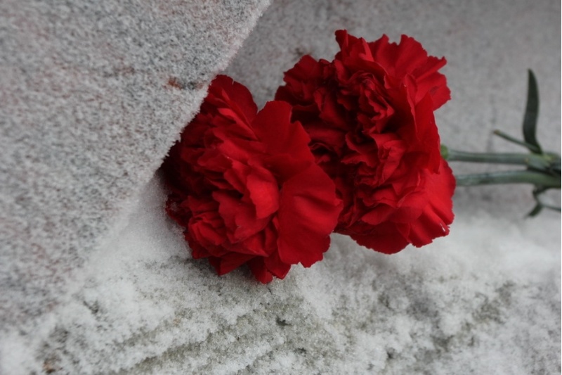 С Лешкой все..