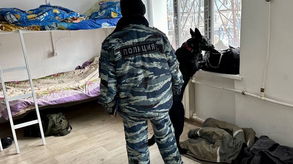     Источник: mvdvladivostok