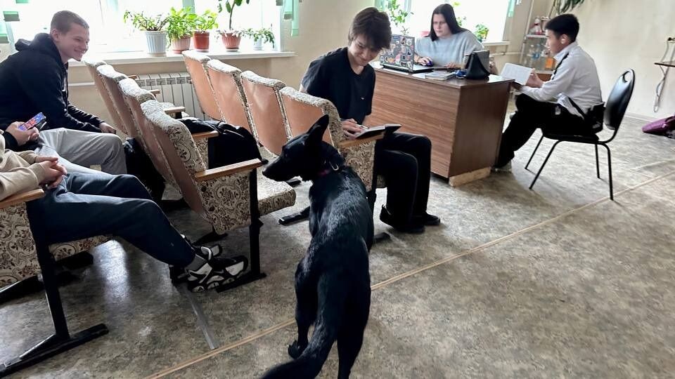     Источник: mvdvladivostok