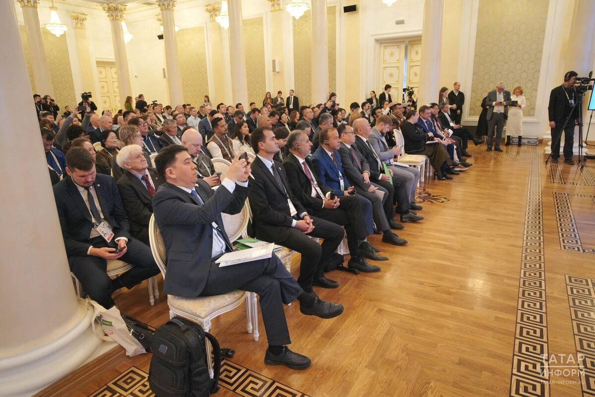 Фото: © Владимир Васильев / «Татар-информ»