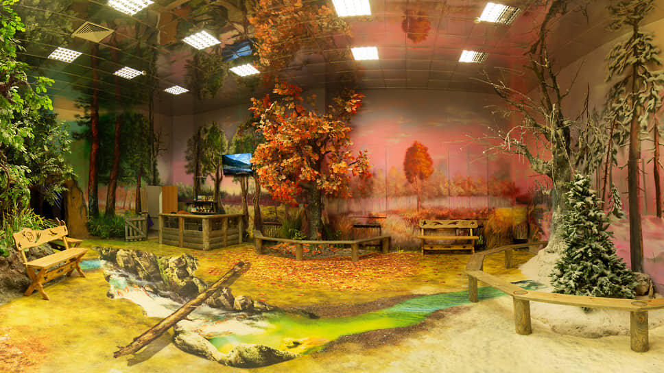 Воронежский государственный природный биосферный заповедник имени В.М. Пескова. Бобронариум.📷Фото: Олег Харсеев / Коммерсантъ