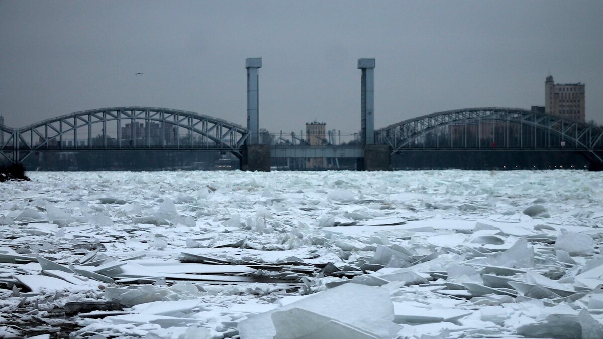    фото: Elena Dunn/globallookpress.com