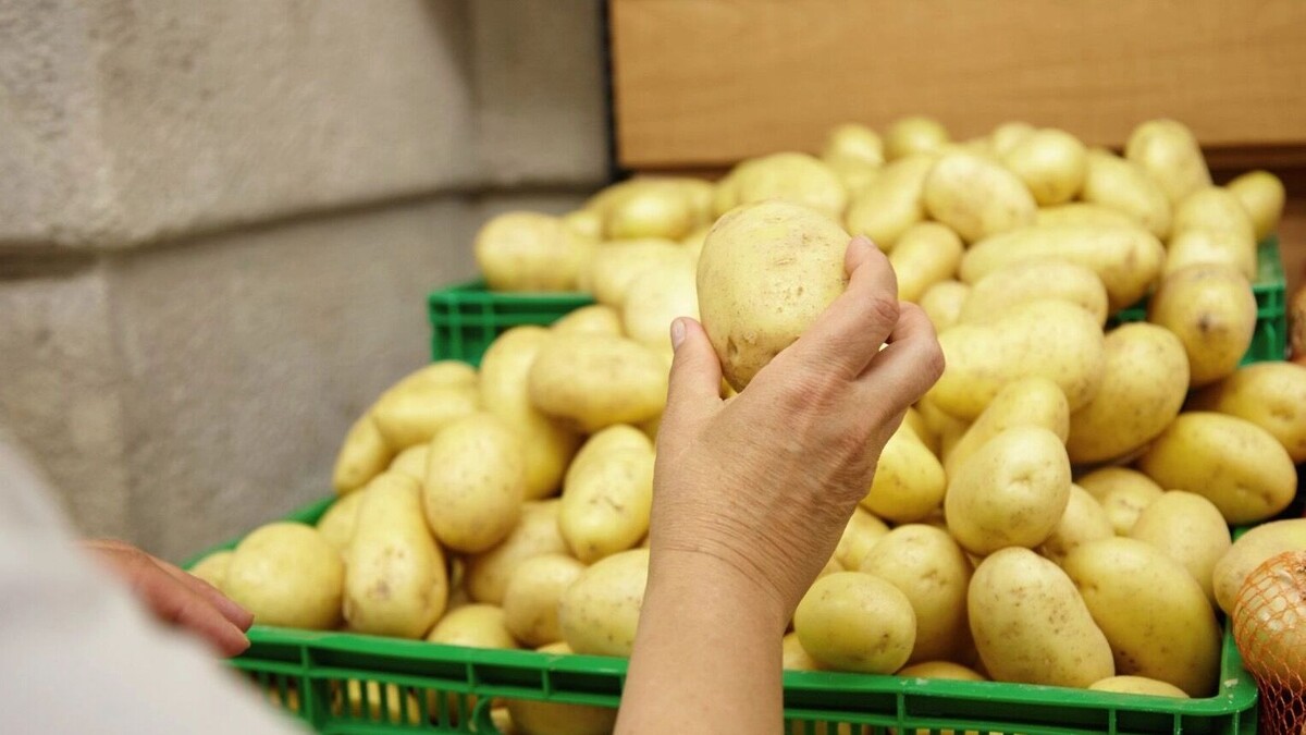     Источник: www.freepik.com