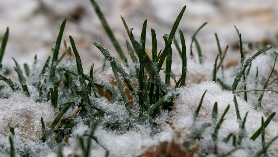    Фото: KazanFirst