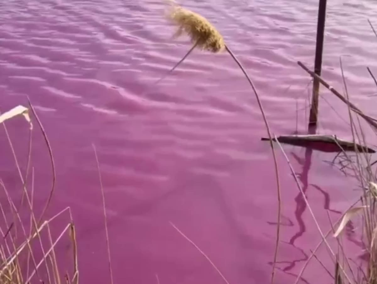 Фото t.me/krd_4mr