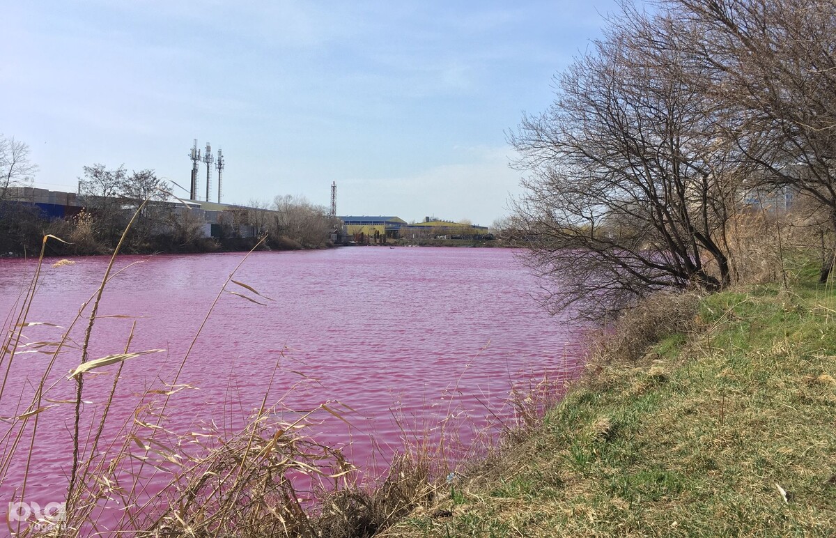Фото Александра Гончаренко, Юга.ру