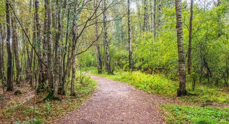    Фото: oopt.spb.ru