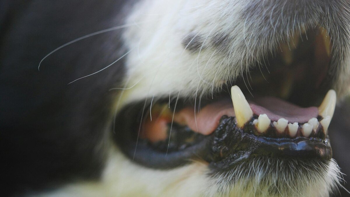    Фото: unsplash.com