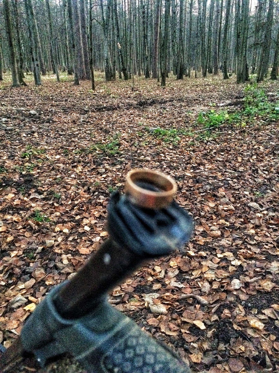 Свое первое золото я нашла благодаря ушам, так как блок управления благополучно забыла дома