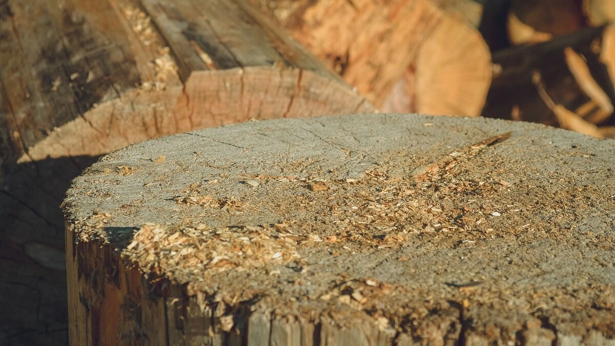     Источник: 1MI