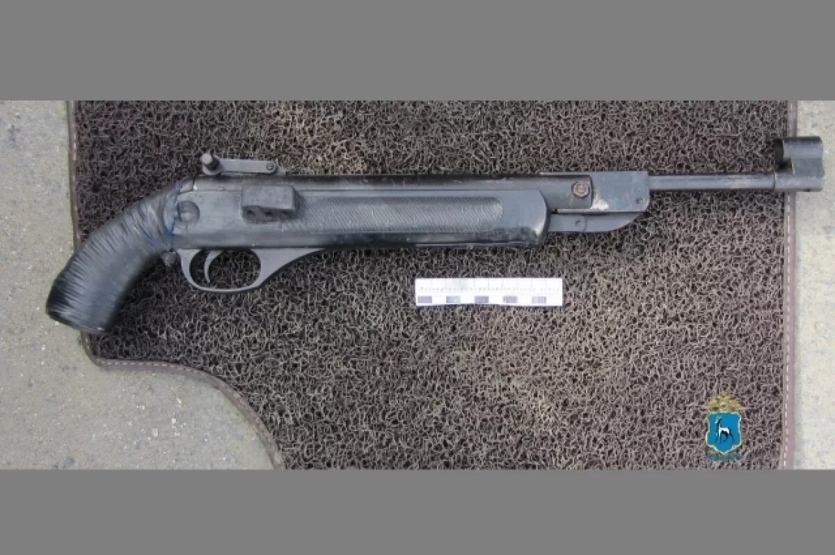    Самарец осужден за обрез пневматики, переделанный под патрон 5,6 мм