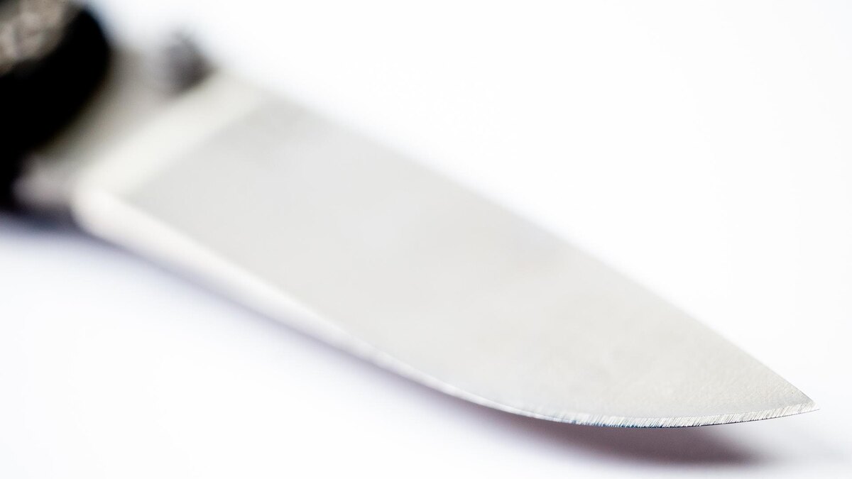    Фото: ИЗВЕСТИЯ/Телеканал «78»