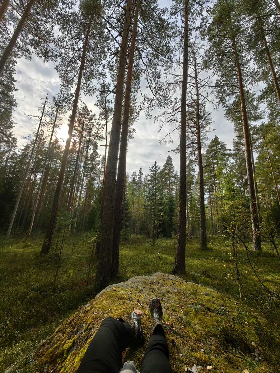 Личный архив