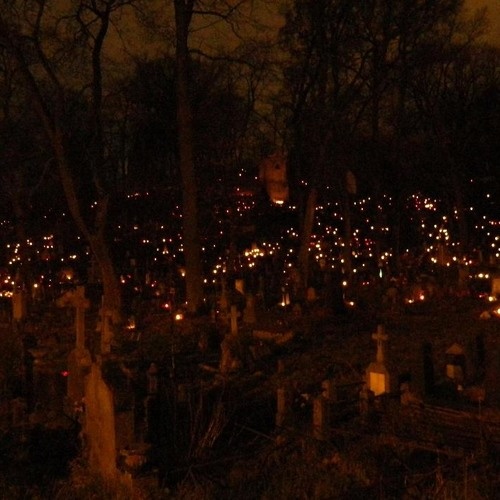 Фото взято из открытого доступа 