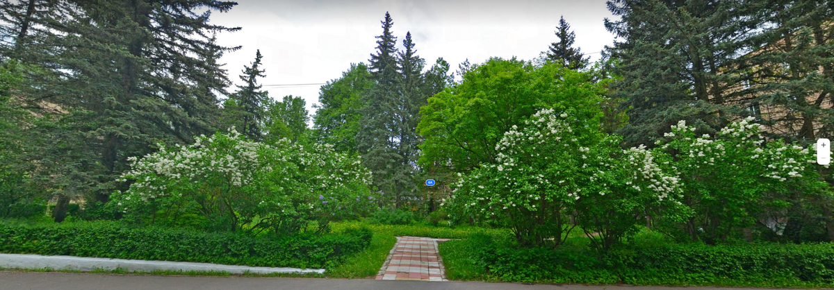 Сквер им.  Александра Черкашина до благоустройства.