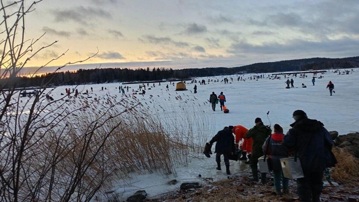 фото из открытых источников