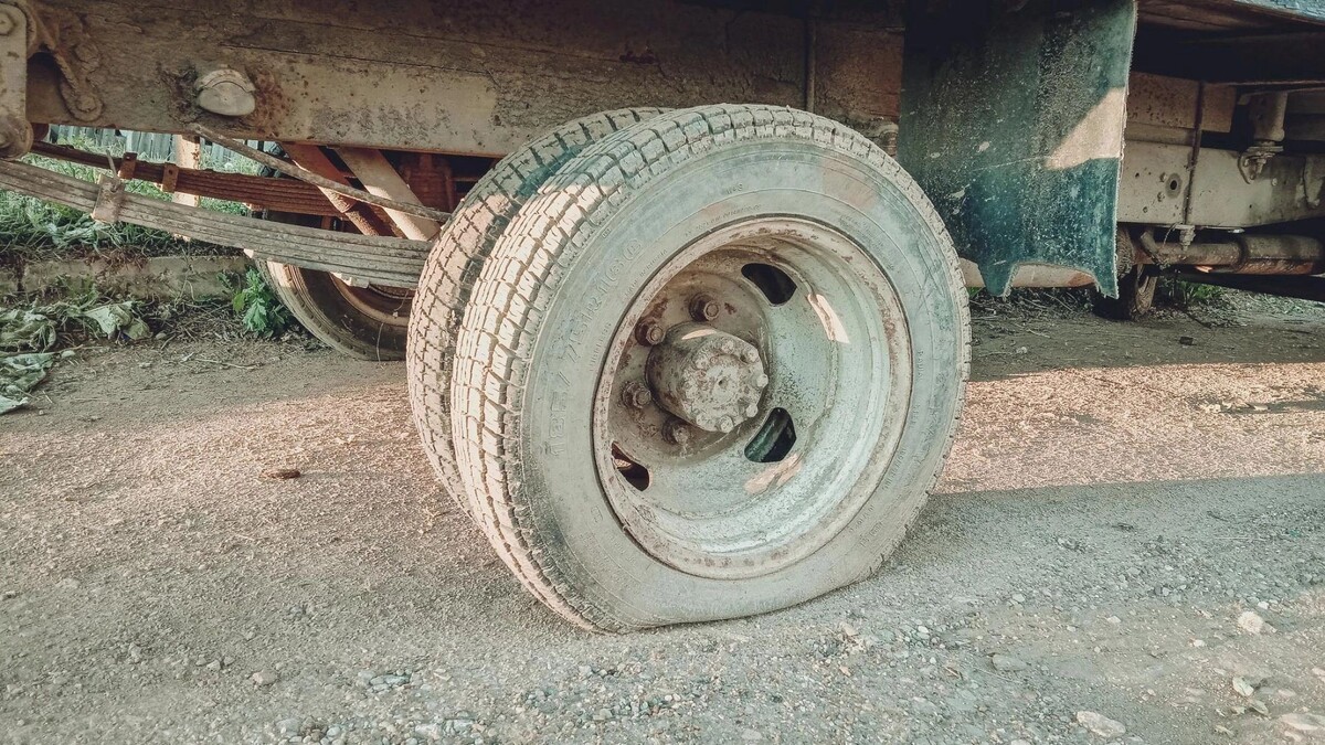     Источник: 1MI