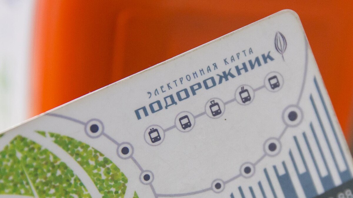    Фото: Aleksey Smyshlyaev/globallookpress.com