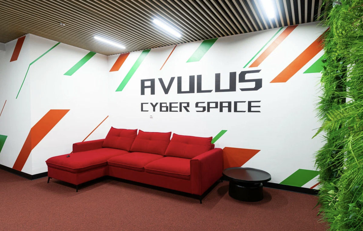 ПромДеко. Avulus Cyber Space