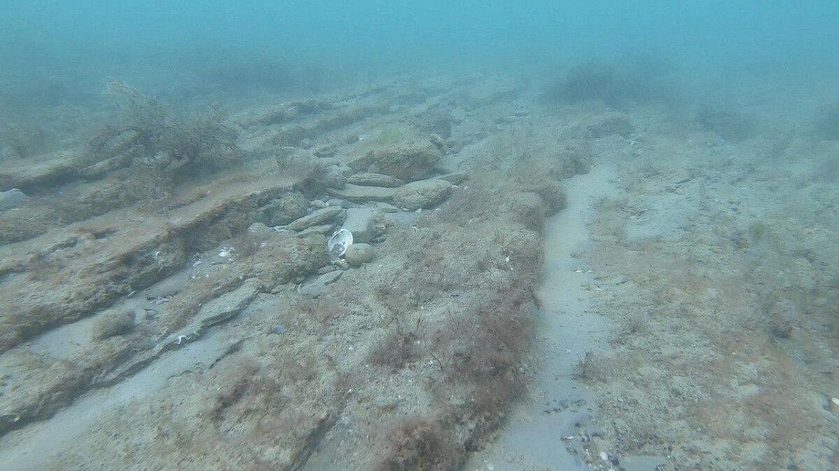    Фото: пресс-служба администрации Сочи