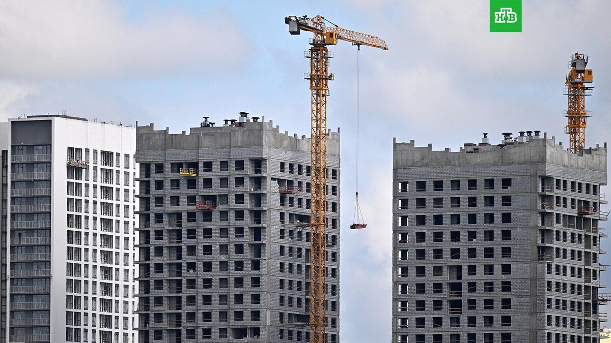    Фото: РИА Новости © 2025, Пелагия Тихонова