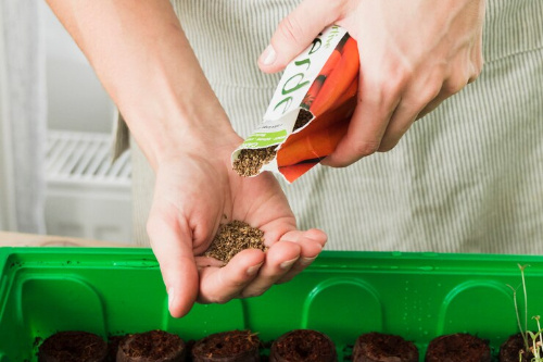    Фото: freepik.com