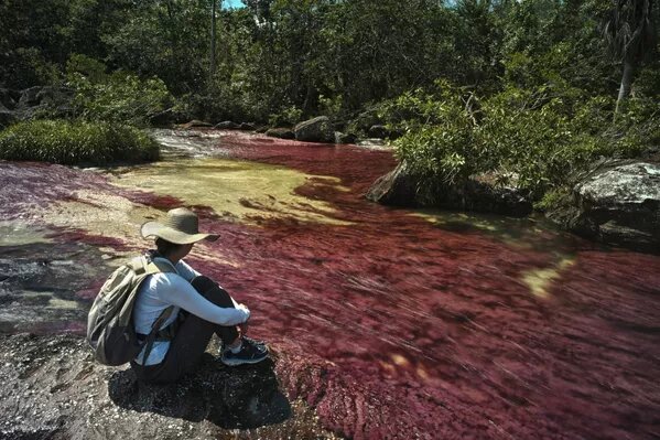 © Getty Images / Kike Calvo/Universal Images Group