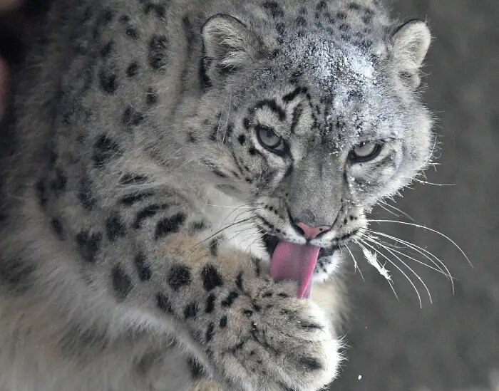     © РИА Новости. Илья Наймушин