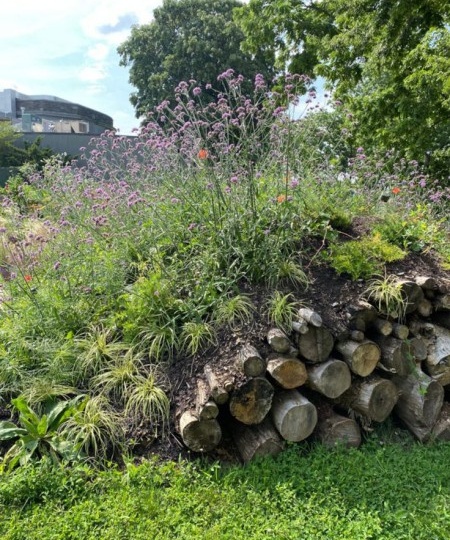 Огородники делятся придумками. 18 фото огородных хитростей