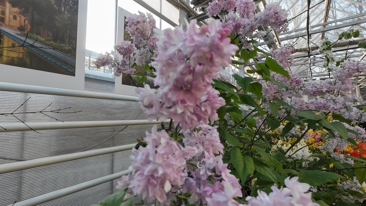 Дышим весной